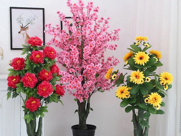 5 món đồ là đại kỵ phong thủy, đừng dại bày trong nhà: May mắn chẳng thấy mà xui xẻo tới ầm ầm