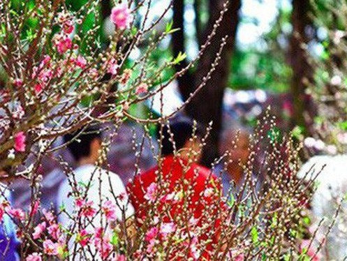 Dự báo thời tiết dịp Tết Nguyên đán Nhâm Dần 2022: Miền Bắc liệu có rét đậm, rét hại?