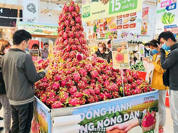 Thanh long chất núi trong siêu thị, mấy khi được ăn hàng xịn giá rẻ