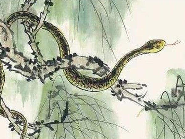 Ảnh bìa bài viết 804144