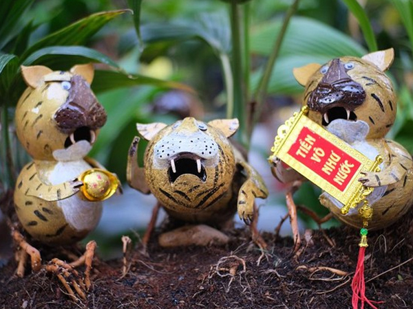Chiêm ngưỡng dừa bonsai hình hổ thu hút khách trước Tết Nhâm Dần