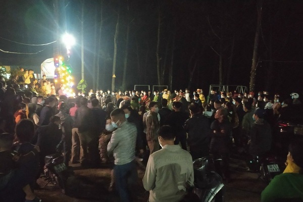 Tạm giữ sư trụ trì và 3 người cưa hạ cây thông trước cửa chùa