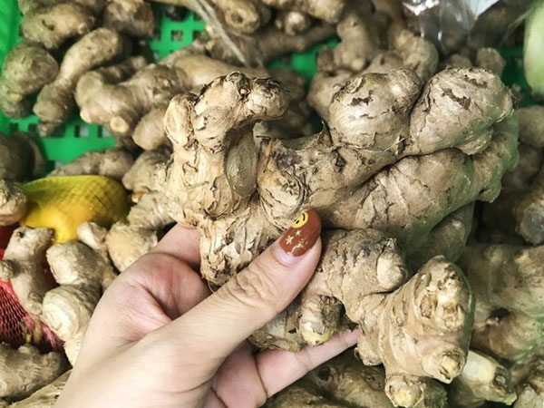 5 thực phẩm giữ cho đường ruột khỏe mạnh vào mùa đông