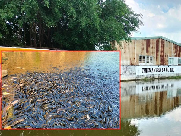 Xôn xao tin đồn 'ao cá trê bí ẩn' trong Tịnh thất Bồng Lai, rùng mình chi tiết chiếc máy xay chưa có lời giải?