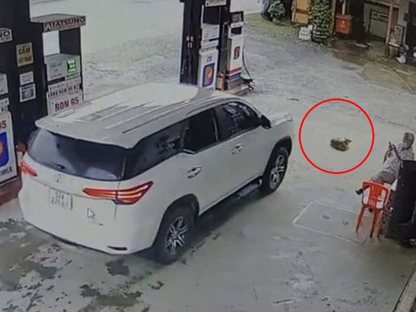 Tranh cãi kịch liệt chuyện đúng sai khi xe đổ nhiên liệu xong cán chết thú cưng của chủ cửa hàng xăng