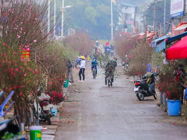 Sắc xuân xuống phố, nhiều tiểu thương 'méo mặt' vì thị trường Tết ảm đạm