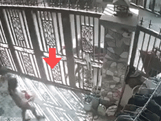 CLIP: Giữa ban ngày, người phụ nữ liều lĩnh dụ dỗ 2 cháu nhỏ đập lợn đất cướp đi 120 triệu