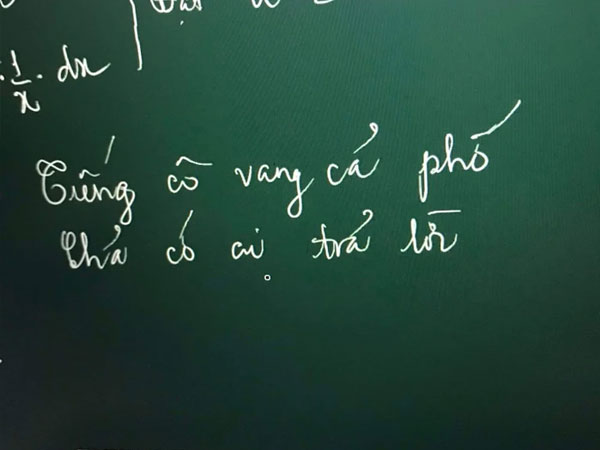 Giảng bài trong lớp online nhưng không thấy học sinh trả lời, cô giáo liền viết mấy câu đầy bất lực