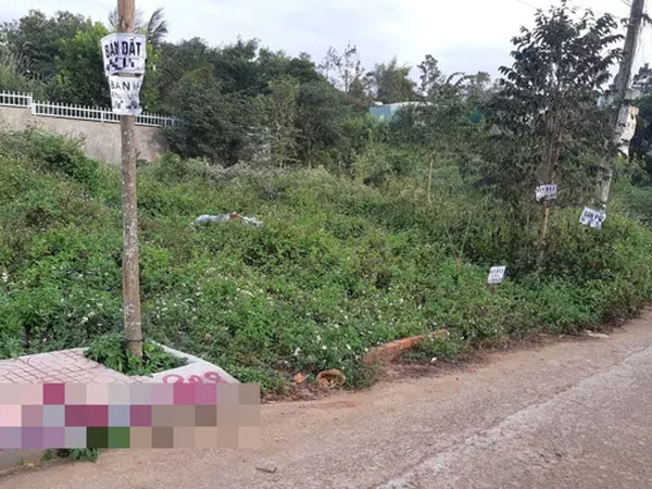 Đắk Lắk sốt đất chưa từng thấy, người TP HCM và Hà Nội đổ xô đến mua