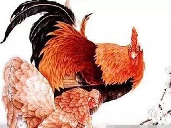 Từ 17/1 đến 29/1, tai bay vạ gió qua đi, 3 con giáp phải dùng đến máy đếm tiền để đếm, sự nghiệp lên đến đỉnh cao