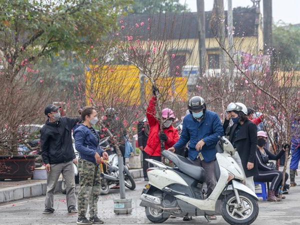 Không khí Tết tràn ngập chợ hoa xuân mở sớm nhất Hà Nội