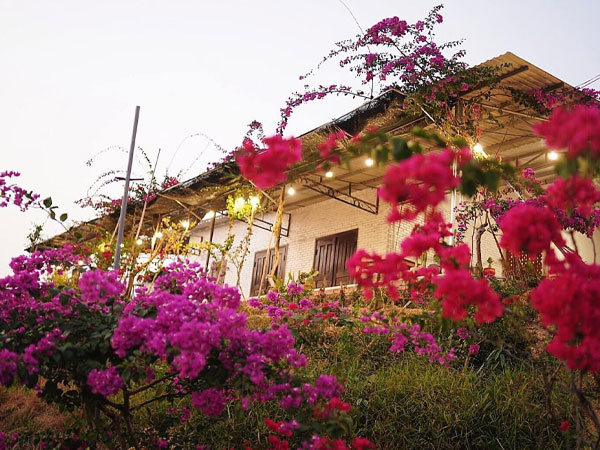 Mua 5.500 m2 đất cằn, chồng dựng 'homestay giữa đồi hoa giấy' thoả ước mơ của vợ