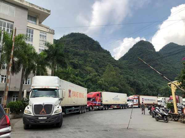 Lào Cai tạm dừng tiếp nhận xe chở trái cây xuất khẩu Trung Quốc từ hôm nay 18-1