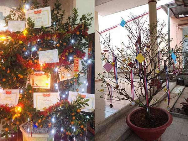 Hội học sinh trổ tài trang trí cây cảnh dịp Tết khiến dân tình xuýt xoa: Trend này ai mà chơi lại?