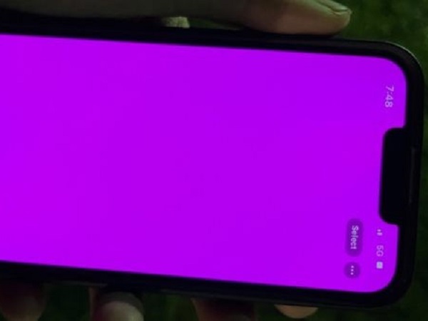 Nhiều iPhone 13 bị lỗi màn hình hồng