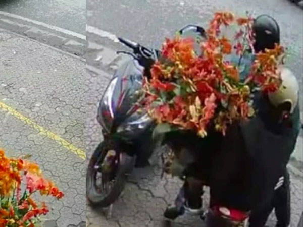 Liên tiếp 2 ngày mất 2 chậu hoa lan trị giá cả chục triệu, uất ức hơn khi thấy chân dung kẻ trộm trong camera
