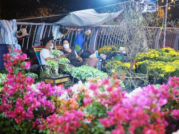 Ăn ngủ cùng chuột cống: Người bán hoa kiếm Tết, chuột bám chợ kiếm ăn