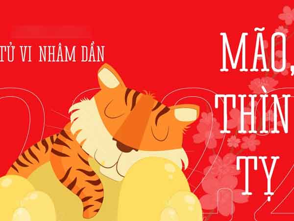 Tổng quan tử vi con giáp Mão, Thìn, Tỵ năm 2022: Kẻ lắm tài nhiều lộc, người hạn chế cho vay