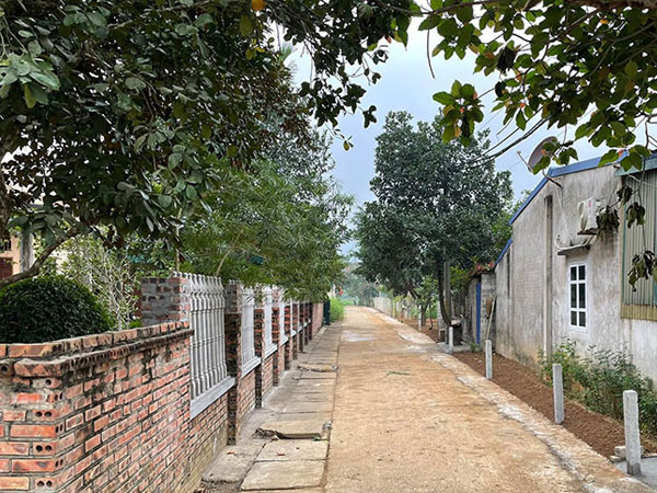 Về quê ăn Tết, giật mình giá đất tăng 'dựng đứng'