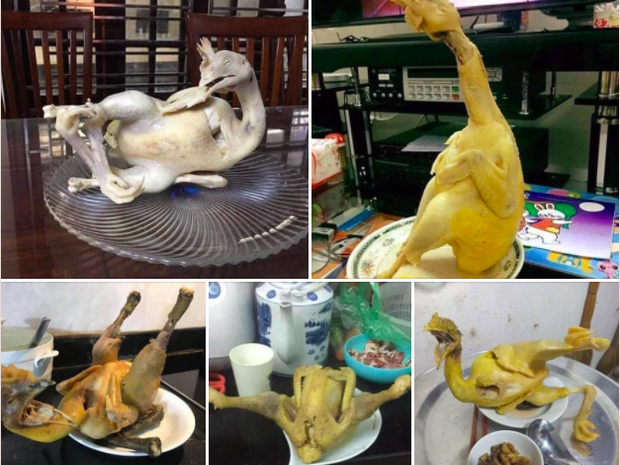 Nàng dâu khoe 'chiến tích' 5 năm luộc gà cúng Tết từ lúc về nhà chồng khiến dân tình được trận cười sảng khoái ngày Mùng 1