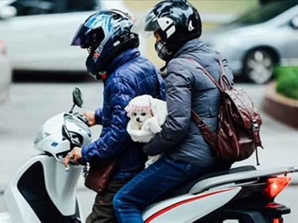 Ảnh bìa bài viết 808011
