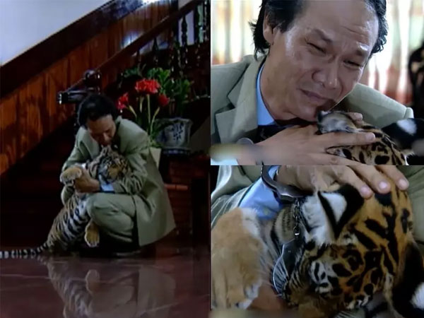 Nam diễn viên Việt suýt mất 'của quý' vì bạn diễn hổ