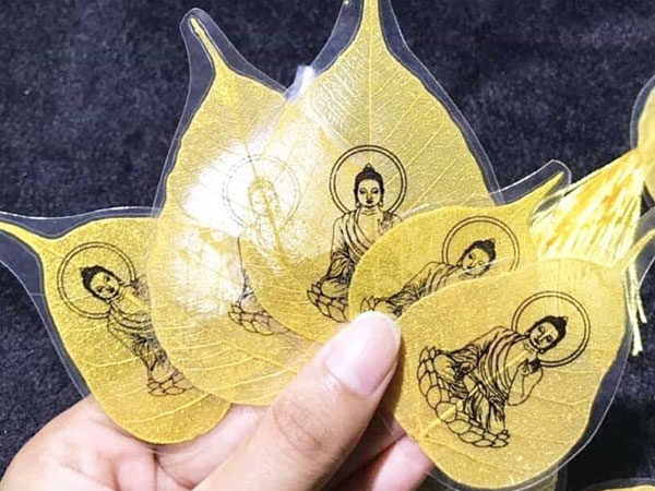 Giá bán 500 nghìn đồng/lá, đây là loại lá cây đắt đỏ nhất đầu năm mới
