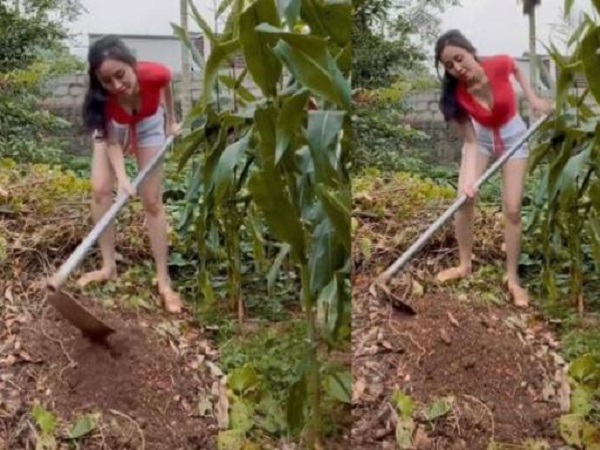 Bà Tưng diện áo xẻ táo bạo khi về quê cuốc đất, cho gà ăn, dân tình 'nín thở' vì lo lộ hàng