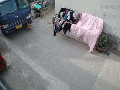 Bé trai bị xe tải nuốt chửng, cái kết khiến ai nấy thở phào