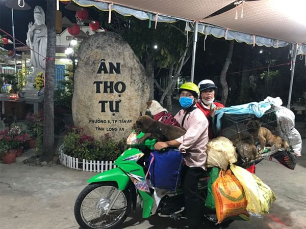 Chủ nhân đàn chó bị tiêu hủy: 'Cuộc hội ngộ đầy xúc cảm với chú chó cuối cùng còn sống'