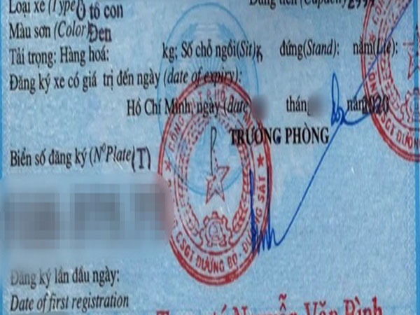 Chuyên gia nói gì về cà-vẹt ô tô sai tiếng Anh?