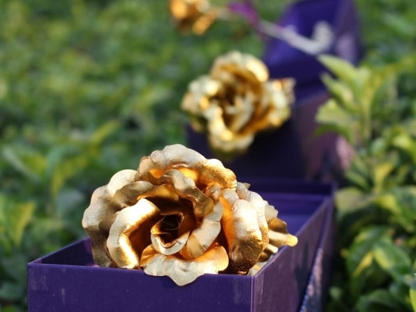 Không hoa, không socola, tôi chỉ thích 'đồng tiền' mùa Valentine
