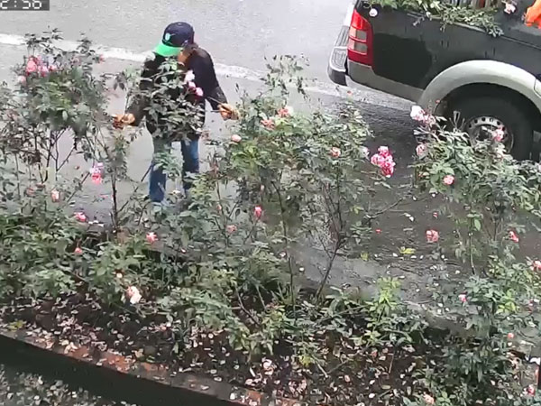Đi ô tô nhưng người phụ nữ có hành động khiến người xem không khỏi ngao ngán: 'Ý thức quá kém'