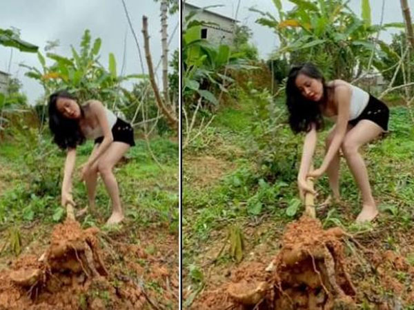 Bà Tưng tiếp tục diện đồ 'không thể ngắn hơn' khi nhổ sắn, cắt chuối, thừa nhận 'sống ảo' nhưng vẫn hút triệu lượt xem