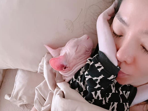Lệ Quyên đáp trả cực gắt khi thú cưng bị chê 'như quái vật'