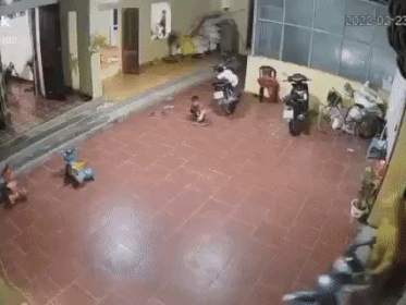 Hãi hùng cảnh bò 'điên' đuổi vào tận cổng, lao vào nhà dân tấn công hai mẹ con bé gái