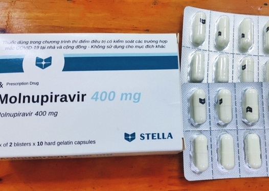 Những người không thể dùng thuốc Molnupiravir điều trị Covid-19