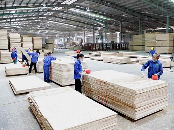 Chưa qua tháng Giêng dồn dập báo tin kỷ lục: Gom đủ 50 tỷ USD