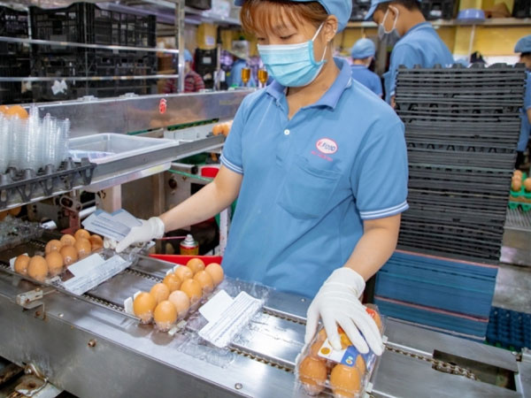 Doanh nghiệp "gồng mình" sản xuất, tăng giá sản phẩm theo giá xăng dầu