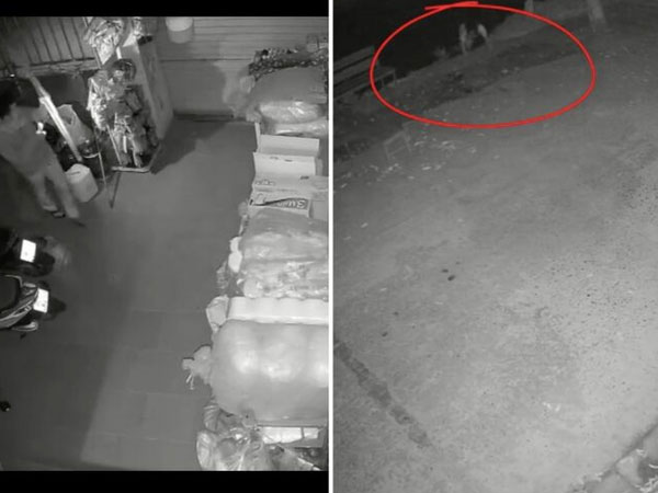 Giữa đêm nghe tiếng động lạ, chủ nhà cầm gậy kiểm tra rồi chạy thục mạng, xem lại camera vẫn 'đau tim'
