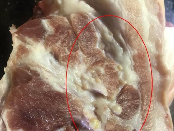 Mua miếng thịt lợn về, cô gái giật mình khi thấy những cục màu trắng nổi lên, dân mạng giải đáp thắc mắc