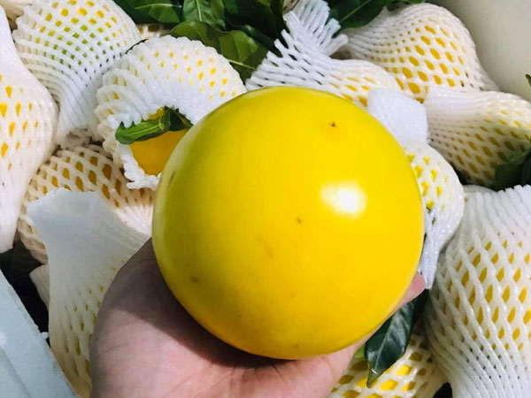 Hết thời hoàng kim, loại quả sang chảnh nào rớt giá?