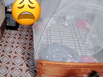 Lao mình đến đỡ con sắp ngã lộn xuống đất, người mẹ gây ngỡ ngàng với pha giải cứu 'cồng kềnh'