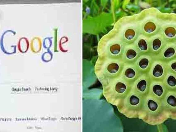 9 từ khóa bạn tuyệt đối không nên tìm kiếm trên Google