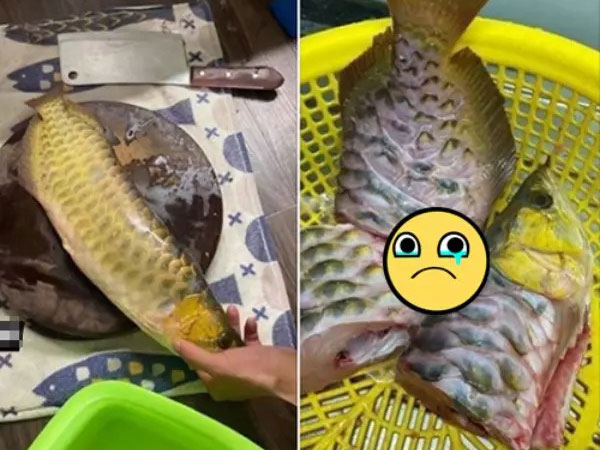 Đi chơi qua đêm không xin phép vợ và cái kết tan nát 'cái nịt cũng chẳng còn' của những ông chồng mê cá
