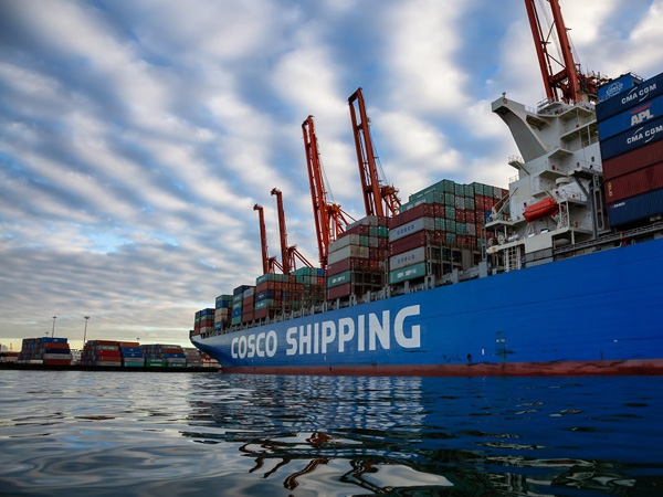 Phi vụ siêu lừa quốc tế 162 tỷ, kêu Thủ tướng, cầu cứu Interpol