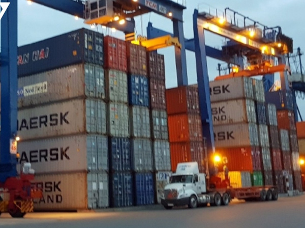 Cảnh sát kinh tế Italy vào cuộc vụ 36 container hạt điều Việt Nam bị mất kiểm soát