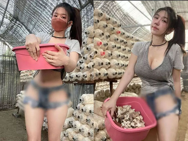 Gái xinh mặc quần khoét chỗ hiểm phản cảm thu hoạch nấm