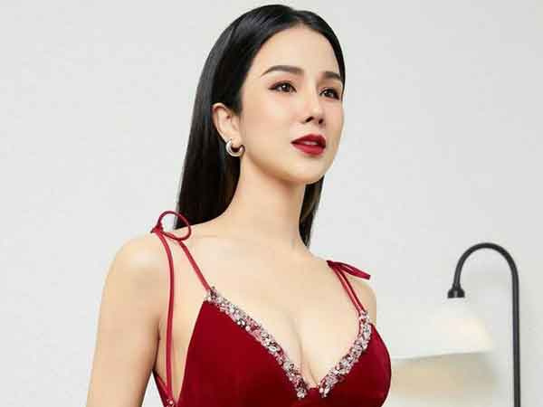 Diệp Lâm Anh mệt mỏi vì drama giật chồng náo loạn Vbiz