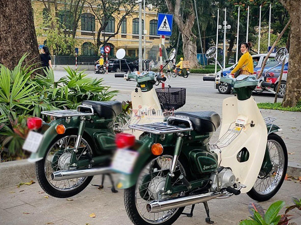 41 năm tuổi, cặp đôi Honda Cub 81 vẫn có giá 300 triệu